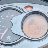 سكنس فحل • ياباني • نفخ