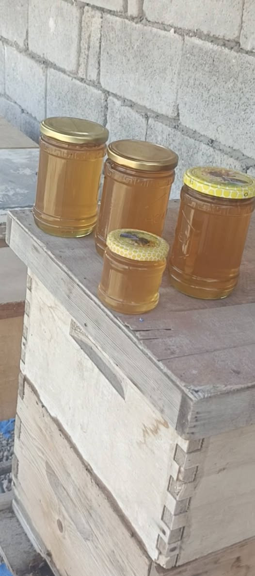 سلام عليكم عسل للبيع 🐝🐝🐝🐝🐝 عسل طبيعي شرط الفحص المكان ديالى بدوانيه مقابيل الاسود الاستفسار على هذه الرقم ***********
