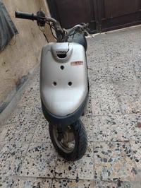 بطه • شغاله • سويج ضاع