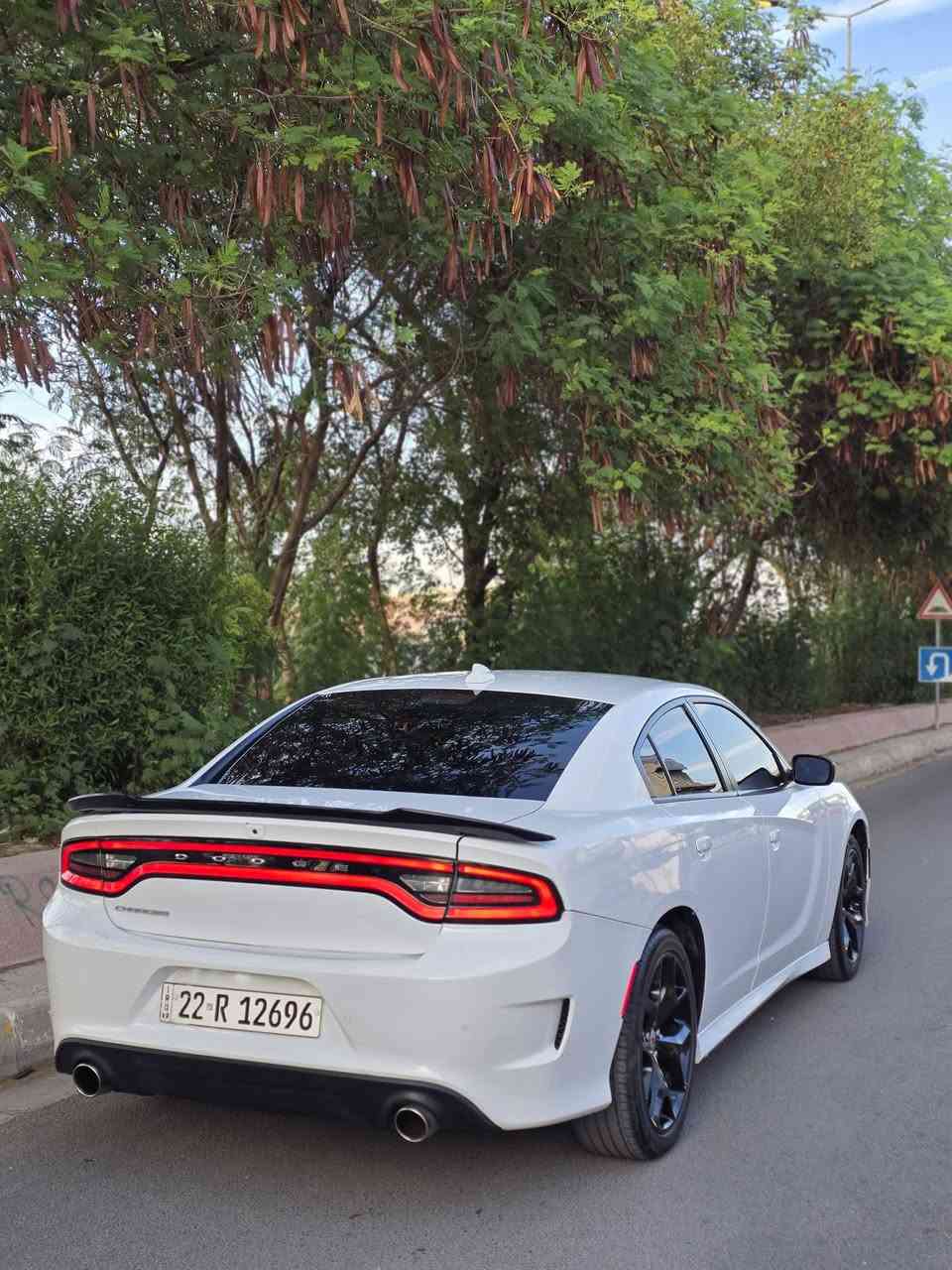 جارجر SXT • ٢٠٢٣ • رقم اربيل