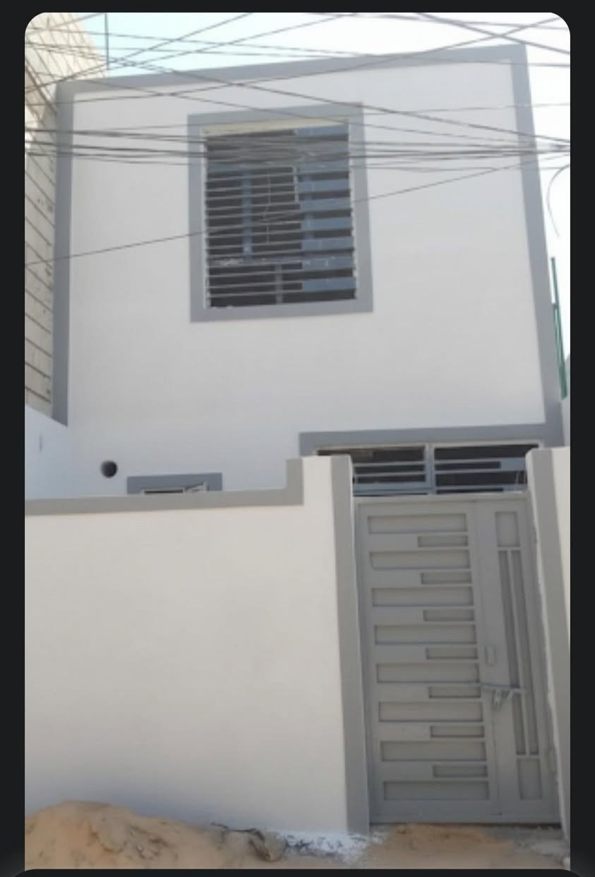 لبخ جص • بورك • متفرغ