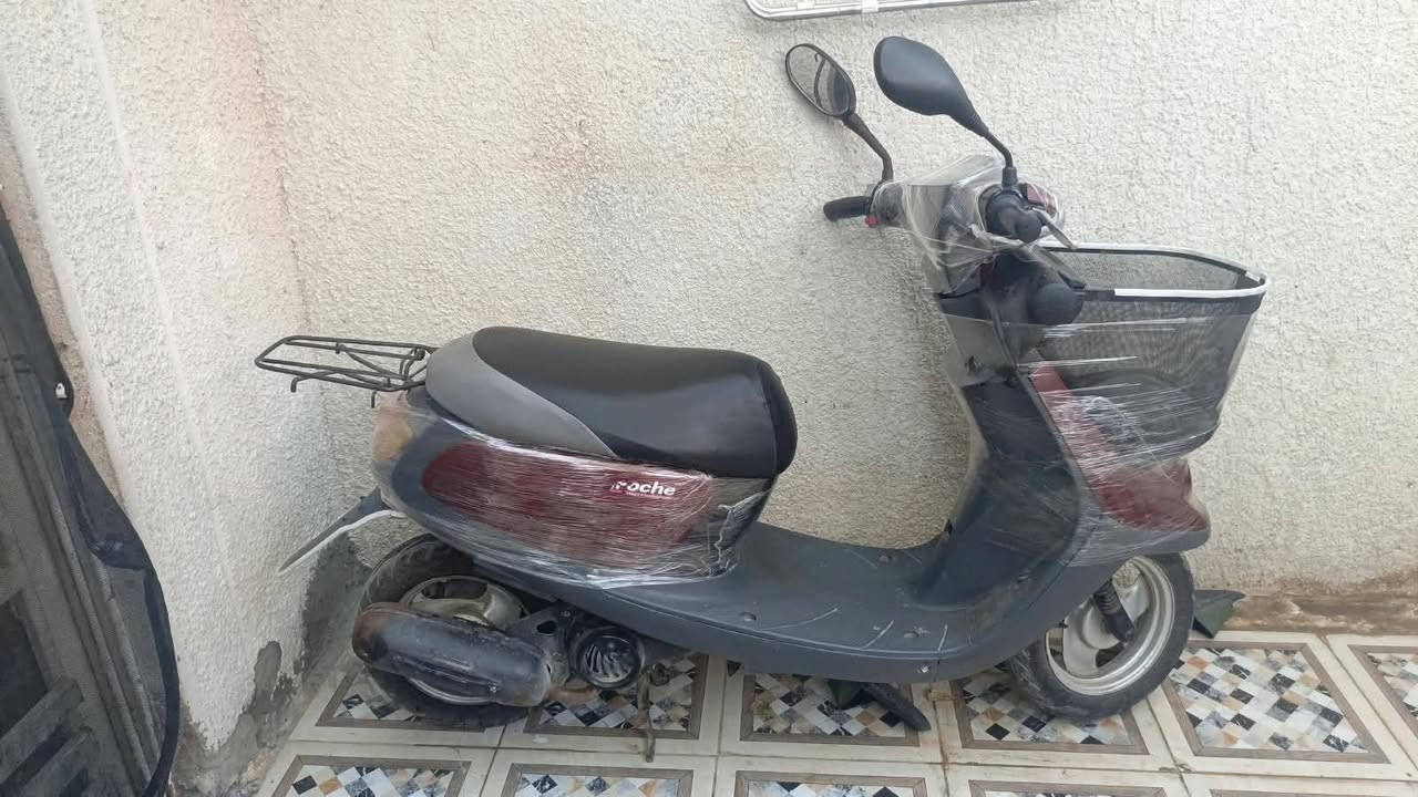 سلام عليكم 

دراجه منغولي للبيع نضيفه ما مفتوحه شلعه معدل فول شاصي مكفول دراجه نشطه السعر 375 وبيه مجال عنوان كربلاء كلشي ما عوزهة الرقم الاستفسار ***********
