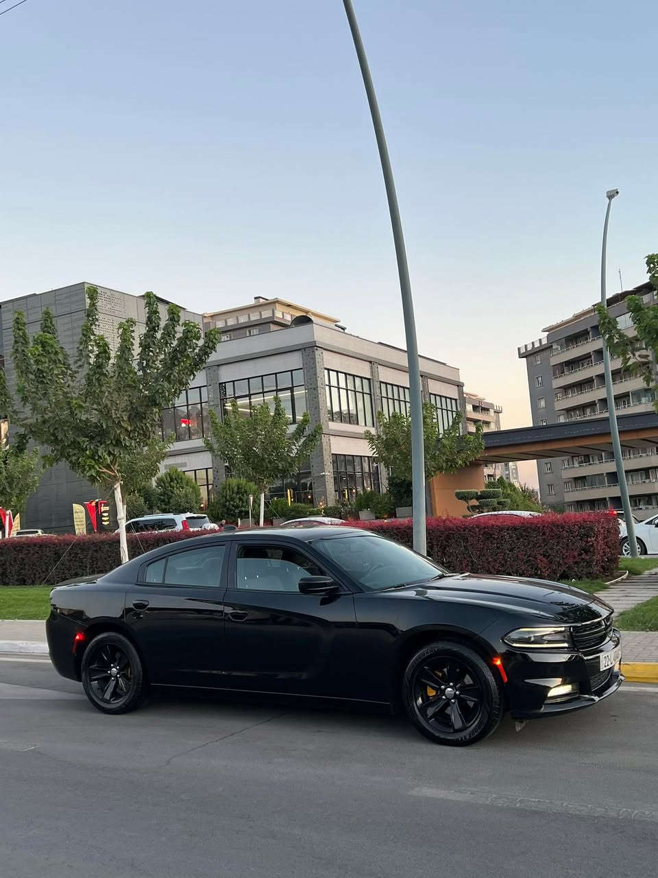 Dodge charger 2017  SXT
دوج چارجر ٢٠١٧ کلین تایتل
مواسەفات sxt
شاشەگەورە
بەصمە
شەخال
دەرگا بەصمە
کوشن کارەبا
حاسە
کامیرا
گێڕو مە کینەی بەشەرت نەکراوەتەوە
بێ بۆیاخو بێ ساردو بێ پارچە گۆڕانە تەنانەت دەعمیەکانیشی بە شەرت بۆیاخی نیە
هەموو گیانی بە شەرت
لە سەر دەقی شەریکە ماوە
دەعمی بۆ دەعمی بە شەرت
شوین سلیمانی 
***********
