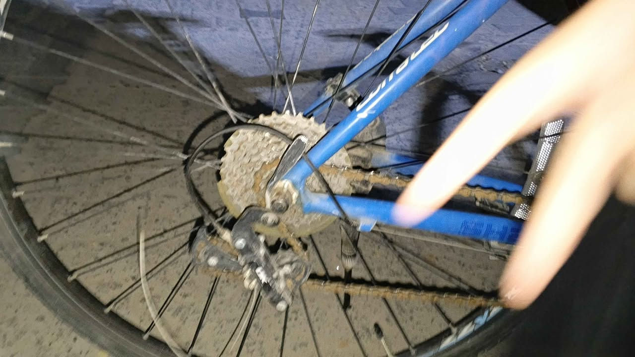 السلام عليكم موجود بايسكل رياضي  هجين، C700 البايسكل باله نظيف على ايدي, رايده 170 الف مكاني حي العداله *********** النجف, العراق
