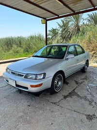 كورله • ١٩٩٥ • سوك شيوخ