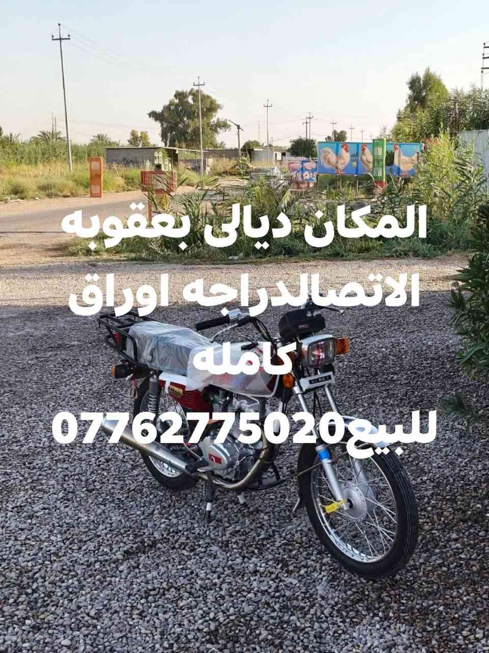 السلام عليكم دراجه للبيع خير من الله تصل ودلل. ***********

نص مكتوب في الصور:
- المكان ديالى بعقوبه الاتصال دراجه اوراق كامله للبيع ***********