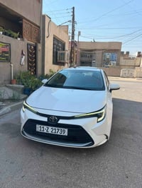 كورلا • ٢٠٢٤ • مكفولة