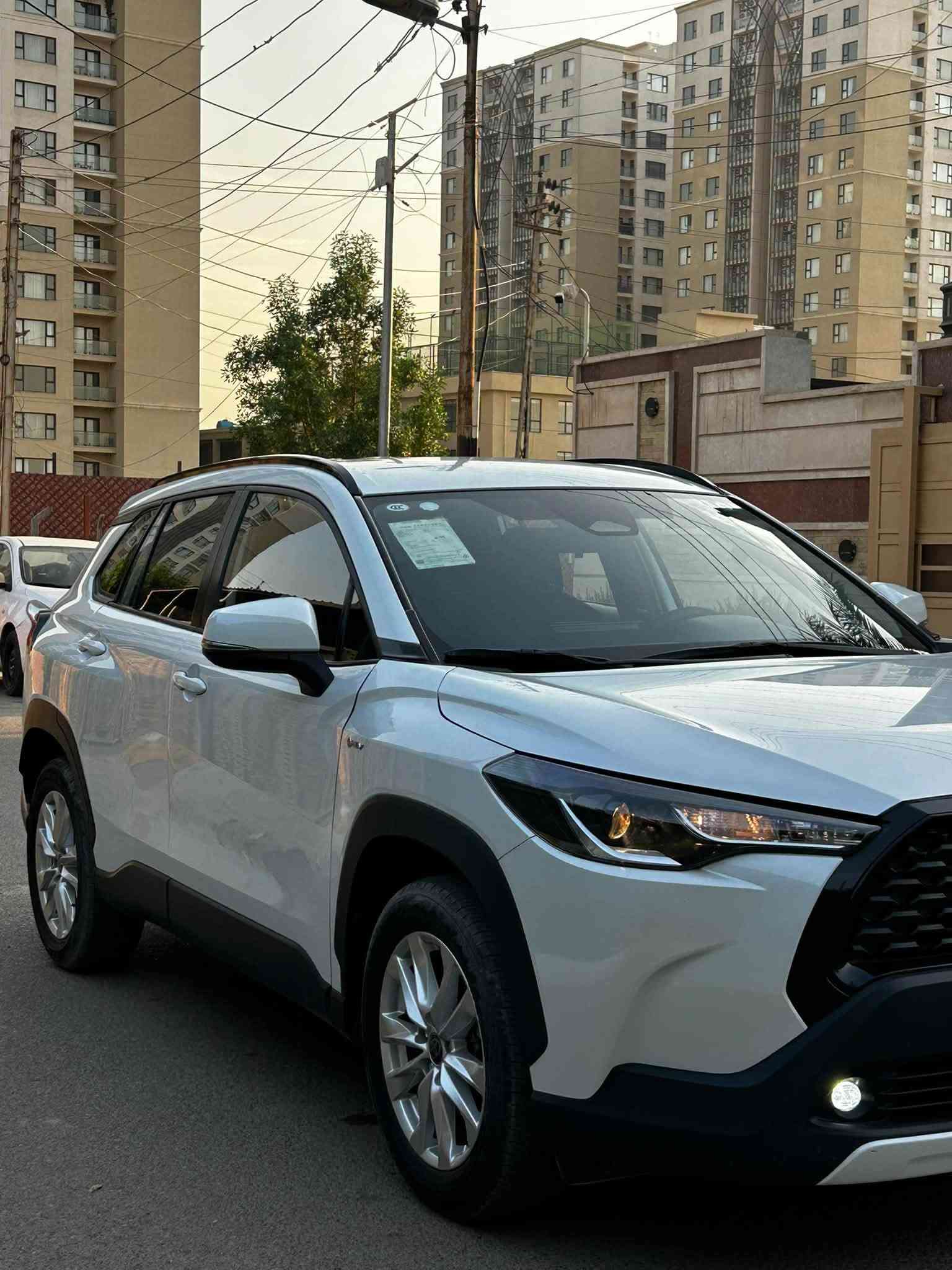 كورلا هايبرد • ٢٠٢٥ • نص فول