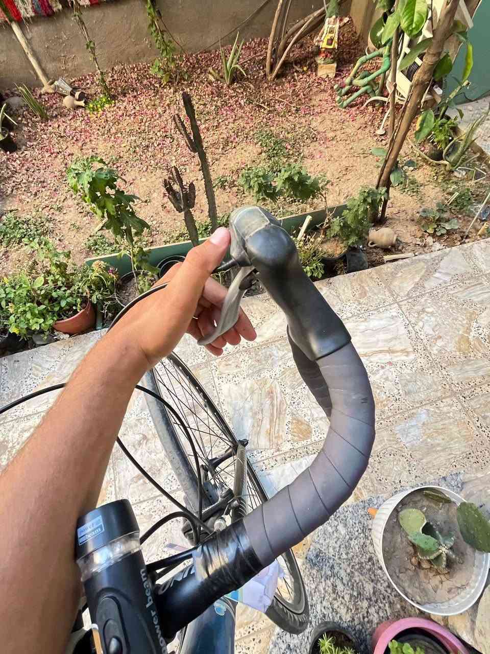 فورمات • سباق • شيمانو
