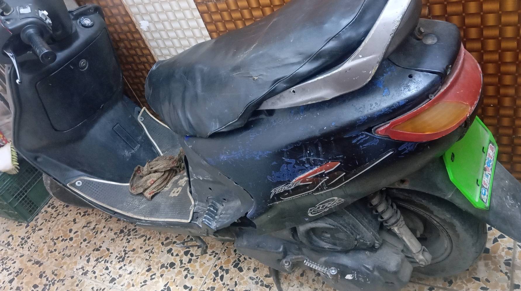 فراشة • نثيه • مامفتوحه