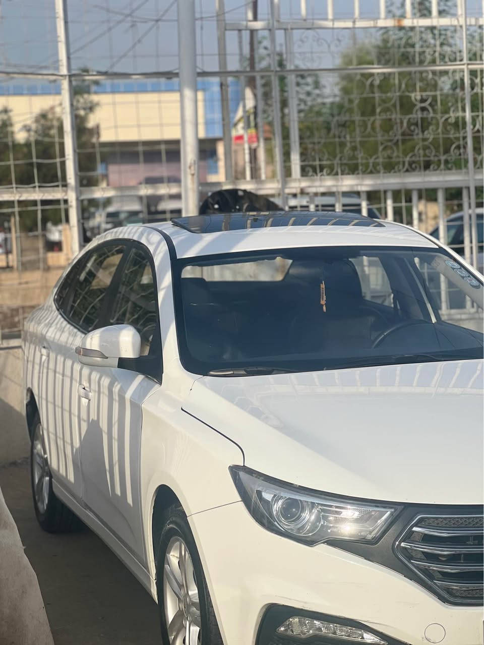 فاو • ٢٠١٨ • أربيل