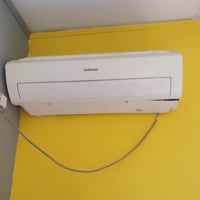 سبليت • ٢ حبات • ١ طن لكل