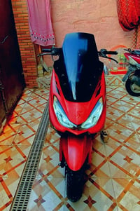 سكنس جبلي • ١٥٠ • ٢٠٢٤