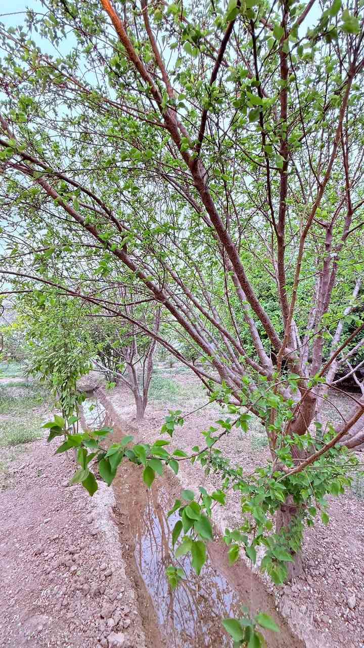 🌿✨ مزرعتنا السياحية… وجهتك للراحة والاستجمام ✨🌿
احجز مكانك للعيد 💫🍃❤️‍🔥

استمتع بأجمل الأوقات وسط الطبيعة الخضراء والأجواء الهادئة 🌳💚  

📍 العنوان:  
صلاح الدين – قضاء بلد  

🔹 المرافق والخدمات:  
🏊‍♂️ مسبح خاص للكبار  
🏊‍♀️ مسبح آمن للأطفال  
🎮 ألعاب ترفيهية (فيشة، منضدة وغيرها)  
⚡ كهرباء مستمرة 24 ساعة  
📶 إنترنت متوفر طوال فترة الحجز  
🚿 مجموعة صحية متكاملة ونظيفة  
🍖 مكان مخصص للشواء (باربكيو)  
🍳 مطبخ مجهز بالكامل مع أدوات الطبخ والشوي  
🌿 مساحات خضراء ومناظر طبيعية خلابة  
🪑 جلسات خارجية مريحة وسط الزرع  
❄️ داخل مكيف بالكامل وحديث  
🚗 كراج خاص للسيارات  

🎯 المكان مثالي للعوائل، الأصدقاء، وقضاء أوقات مميزة بعيداً عن ضوضاء المدينة  

📅 الحجز متاح الآن  
📞 للتواصل والاستفسار:  

***********  
***********  

او مراسلتنا على الواتساب من خلال الرابط ادناه: 

https://api.whatsapp.com/send/?phone=9647771588622&text&type=phone_number&app_absent=0&wame_ctl=1
 

✨ *عيش الراحة… واستمتع بكل لحضة ✨
