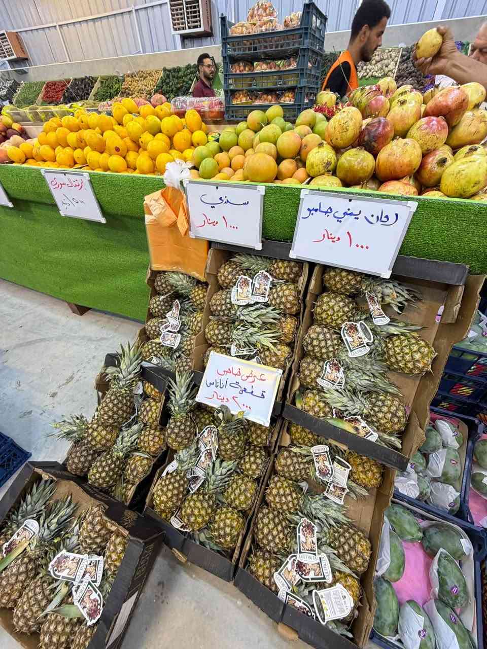 عروض اليوم • منجا قطعتين • نزلة الجسر