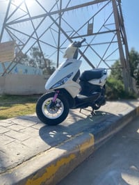 ماكس مضلع • ٢٠٠٨ • فحص