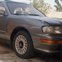 بطه • بغداد • مصبوغة