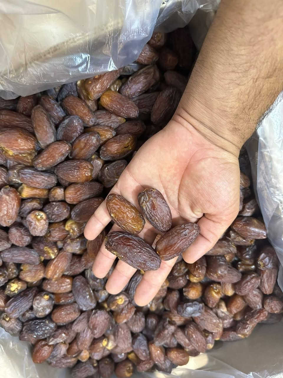 متوفر تمر نوع "مجهول أو مجدول " للبيع درجة أولى /الفلوجة /للتواصل وحجز الكميات  ***********
