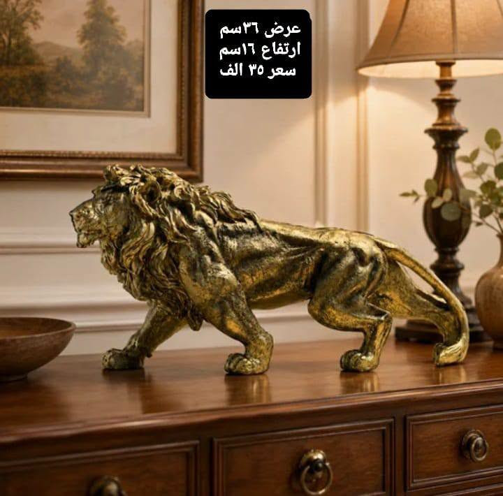 هدية • مقاسات مختلفة • توصيل لكل العراق