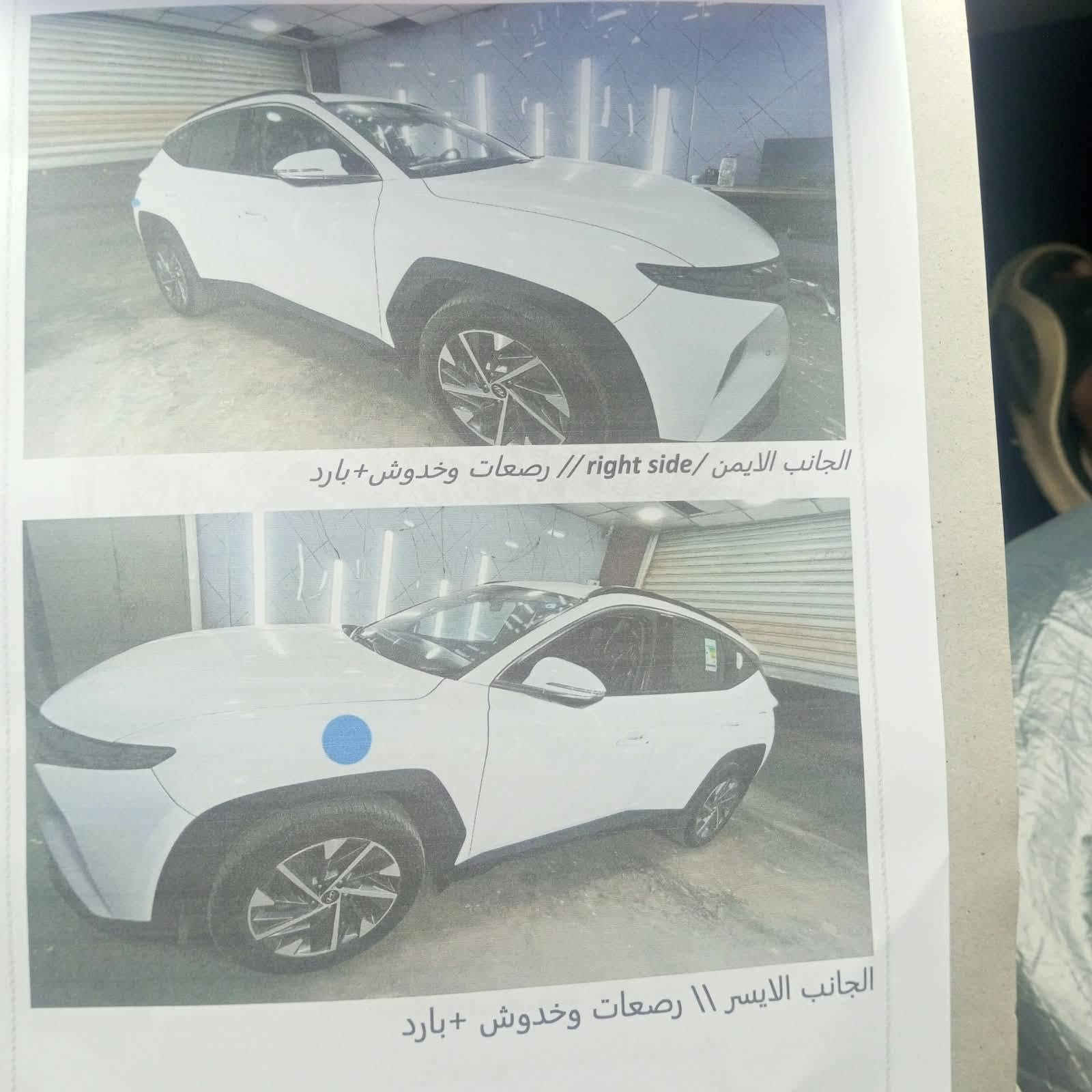 ٢٠٢٣ • خليجي • فول مواصفات