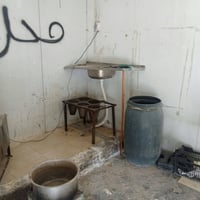 دجاج • سمك • قابل تفاوض