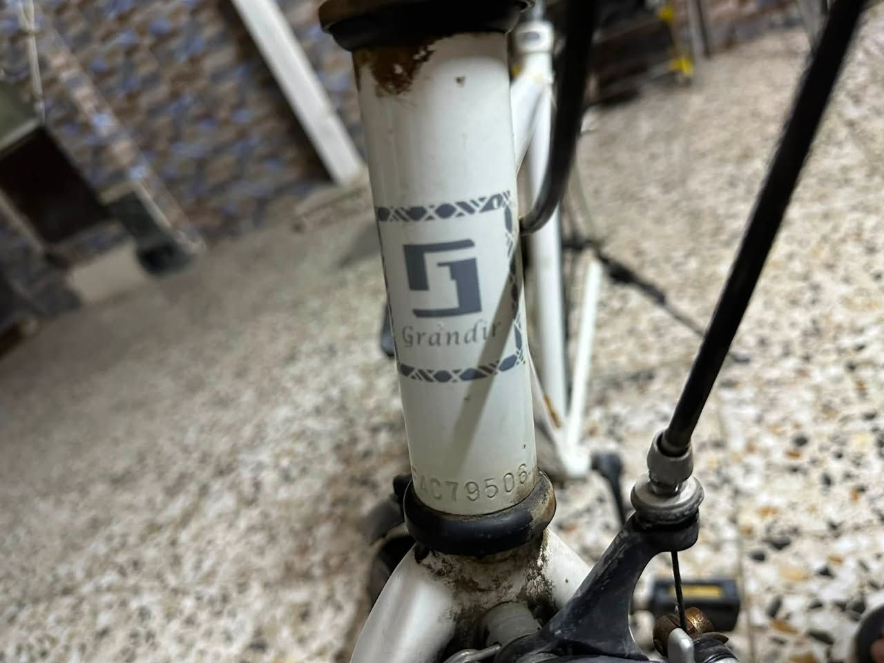 للبيع C700
الماركة: Grand ، تايوان 
* النوع: سياحي / هجين 
* حجم: الإطارات: قياس 28 
* السعر : الي عاجبه وشراي ينطيني سعر ابيعه اسمع منه ونتفاهم على بيعه مراح نختلف اني ادخله خاص او واتساب رقمي ***********
* مكاني بغداد حي الجهاد _ الخارجية _ قرب جامع فخري شنشل

