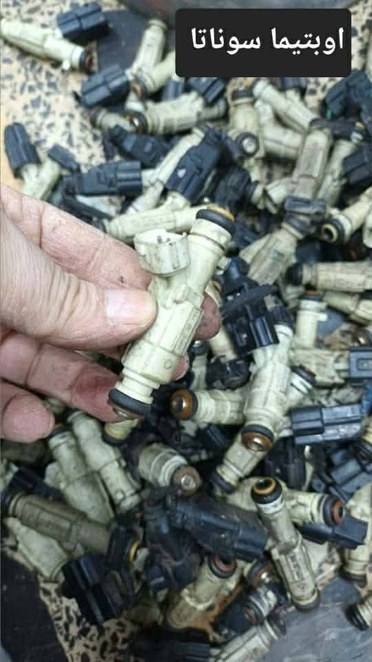 وجبة نوزل تفصيخ 
***********
***********
خدمة توصيل لكل المحافظات
