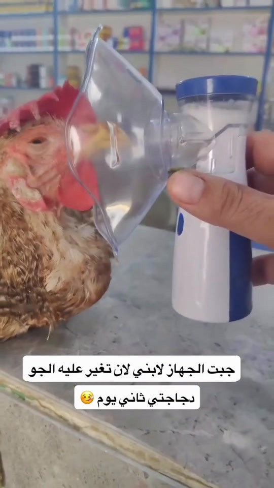 جهاز تبخير اوكسجين السعر 13 الف جهاز مناسب للكبار والاطفال ويجمع بين التكنولوجيا الحديثة والتصميم العصري، ليقدم تجربة استخدام هادئة ومريحة مع أداء فعال وسهولة في الحمل والاستخدام. صُمم الجهاز لتحويل سائل الدواء إلى رذاذ دقيق عبر تقنية الاهتزاز عالي السرعة، مما يساعد على تحويل الدواء إلى جزيئات صغيرة قابلة للاستنشاق من خلال القناع أو القطعة الفموية المرفقة. تتميز الجزيئات الدقيقة بسهولة وصولها إلى أجزاء الجهاز التنفسي، مع تصميم يتيح استخدام الجهاز بشكل مريح في المنزل أو أثناء التنقل. يتميز الجهاز بتصميم مدمج وخفيف الوزن، وتشغيل منخفض الضوضاء لتوفير تجربة أكثر هدوءاً أثناء الاستخدام، إضافة إلى استهلاك منخفض لطاقة. يمكن تشغيل الجهاز من خلال البطارية أو مصدر طاقة خارجي، مما يمنح المستخدم مرونة أكبر في الاستخدام داخل المنزل أو أثناء السفر والتنقل

نص مكتوب في الصور:
- جبت الجهاز لابني لان تغير عليه الجو دجاجتي ثاني يوم 🤧