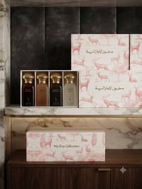 دخون الرباعي • جملة فقط • شارع الظلال