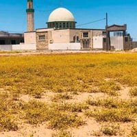 القوسيات • ٢٠٠م • سند زراعي