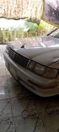 بطة متصل • مكفولة • القرنة