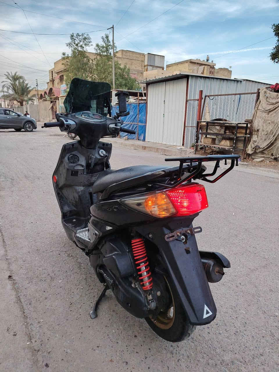 سكنس فحل • جاهزة • زنون