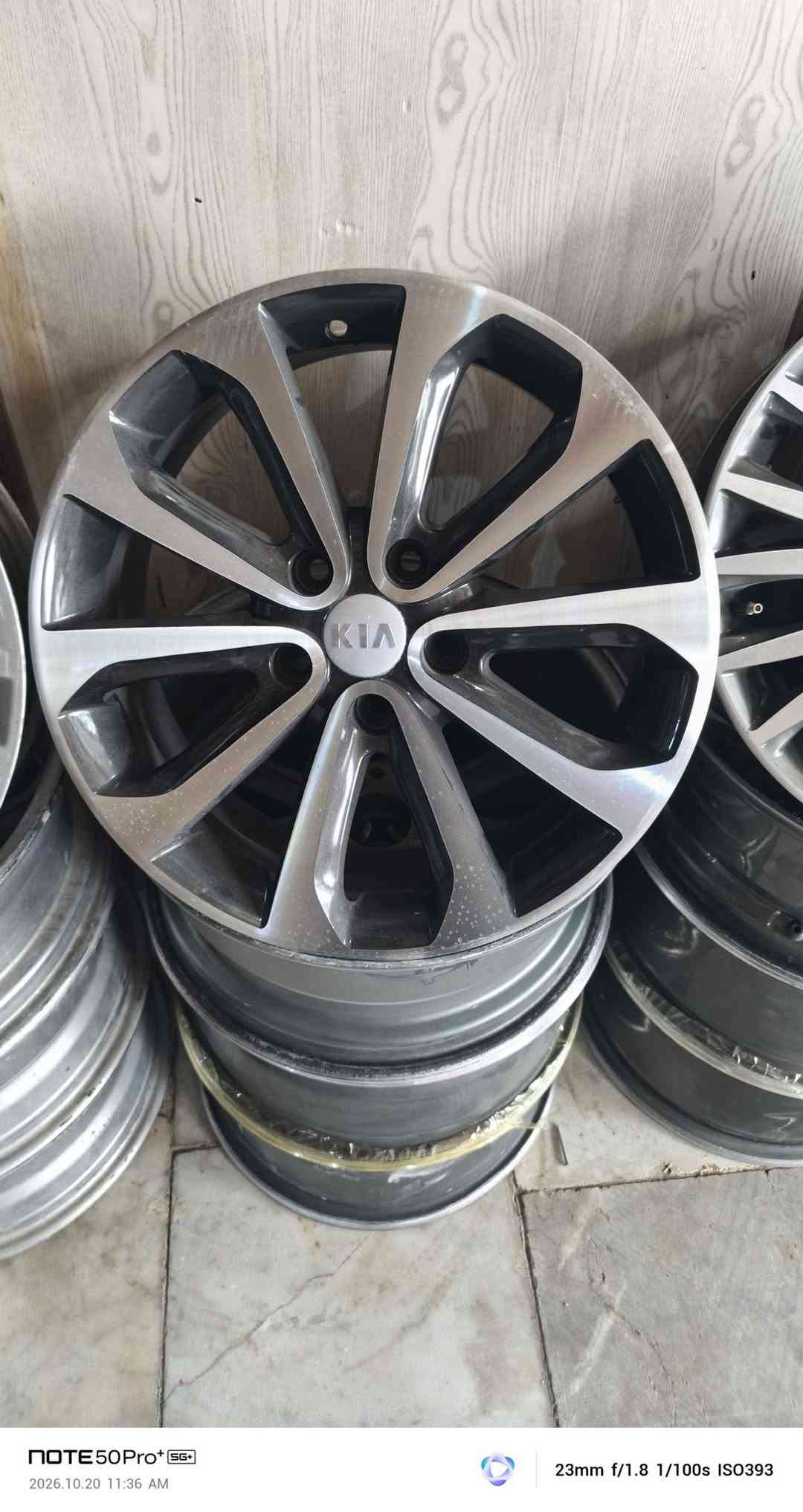 مراوس ١٧ • نضيف مكفول • طويريج