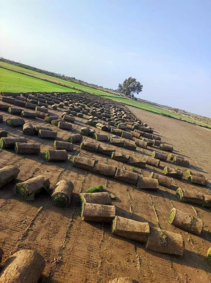 🌳 ثيل طبيعي من أجود الأنواع.. خضرة تدوم وأناقة تبهج! 🌳
مناسب للاستخدام في:
🏡 المنازل | 🌿 الحدائق | ⚽ الملاعب | 🏢 الدوائر | 🏗️ المشاريع الاستثمارية

🟢 أنواع متوفرة لدينا:
فرنسي – إيطالي – أمريكي – هندي – إسباني – إنكليزي
💚 نوعيات ممتازة بأسعار مناسبة جداً
📦 وقابل للتفاوض للكميات الكبيرة

✅ تجهيز كميات كبيرة للمشاتل والملاعب
✅ كادر متخصص بالزراعة والتركيب السليم
✅ نوصل لك لباب البيت، بأسرع وقت!

📞 للحجز أو الاستفسار تواصل معنا الآن

***********
#ثيل_طبيعي #خضرة_دائمة #زراعة_ثيل #ملاعب #مشاتل #أسعار_تنافسية
