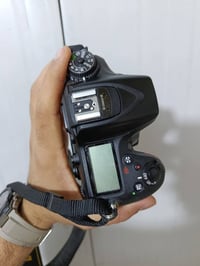 نيكون ٧١٠٠ • عدسه ١٨/١٠٥ • البصره الزبير