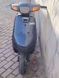 ابريو • شغال • معمر
