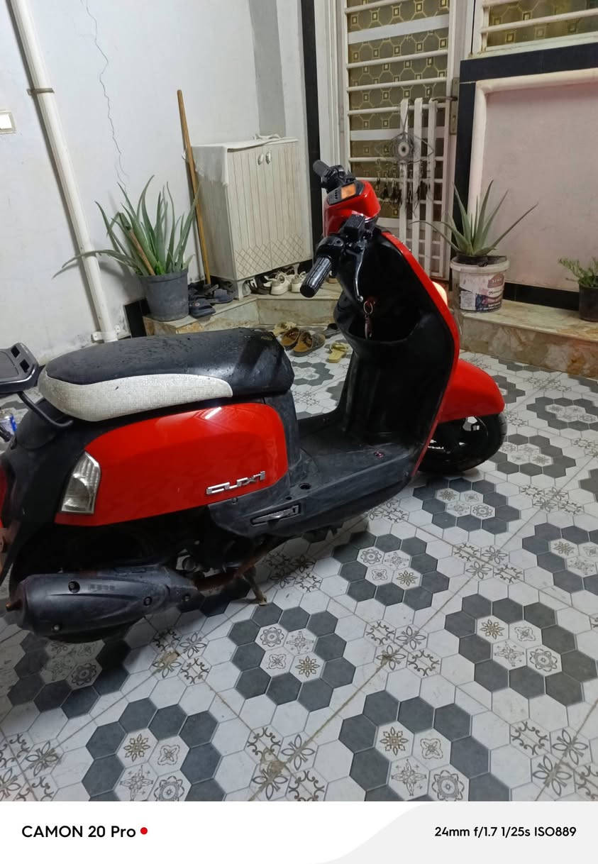 بوليس نوزل • ٢٠٠٨ • زنون