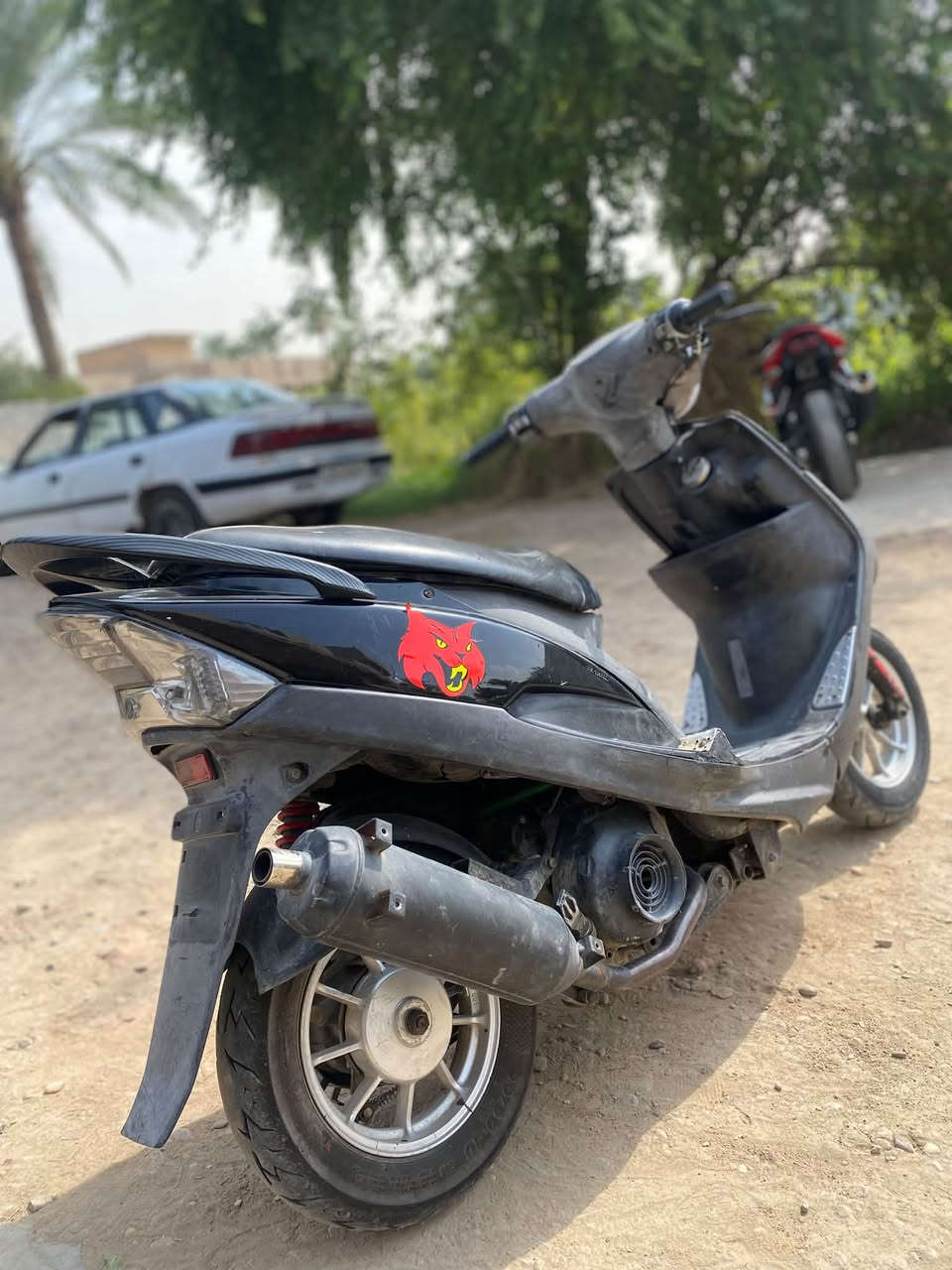 ماكس • ١٢٠