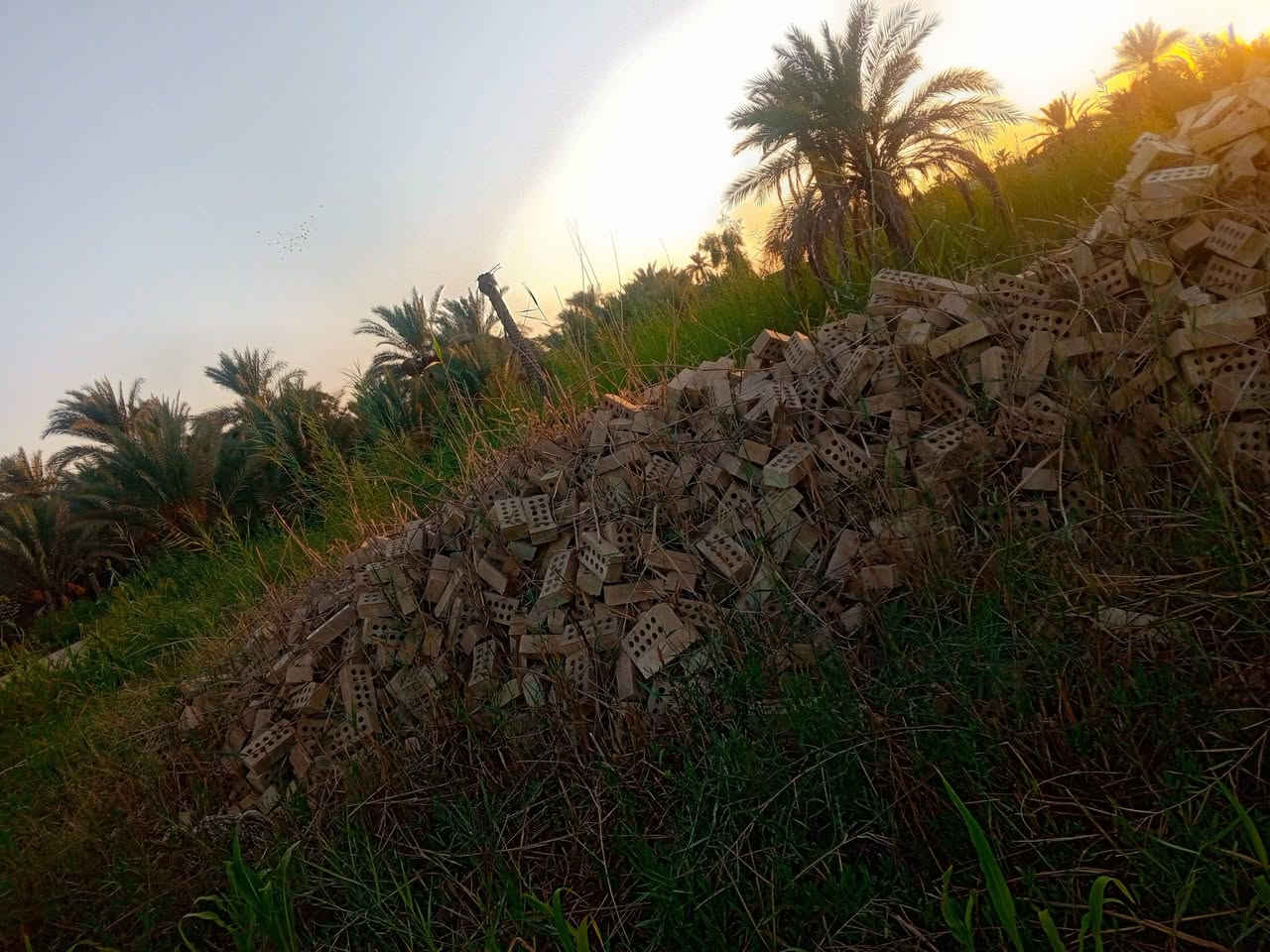 طابوق نهرواني لبيع منو يشتري مليون 700وهاذا رقمي‏‪***********‬‏
