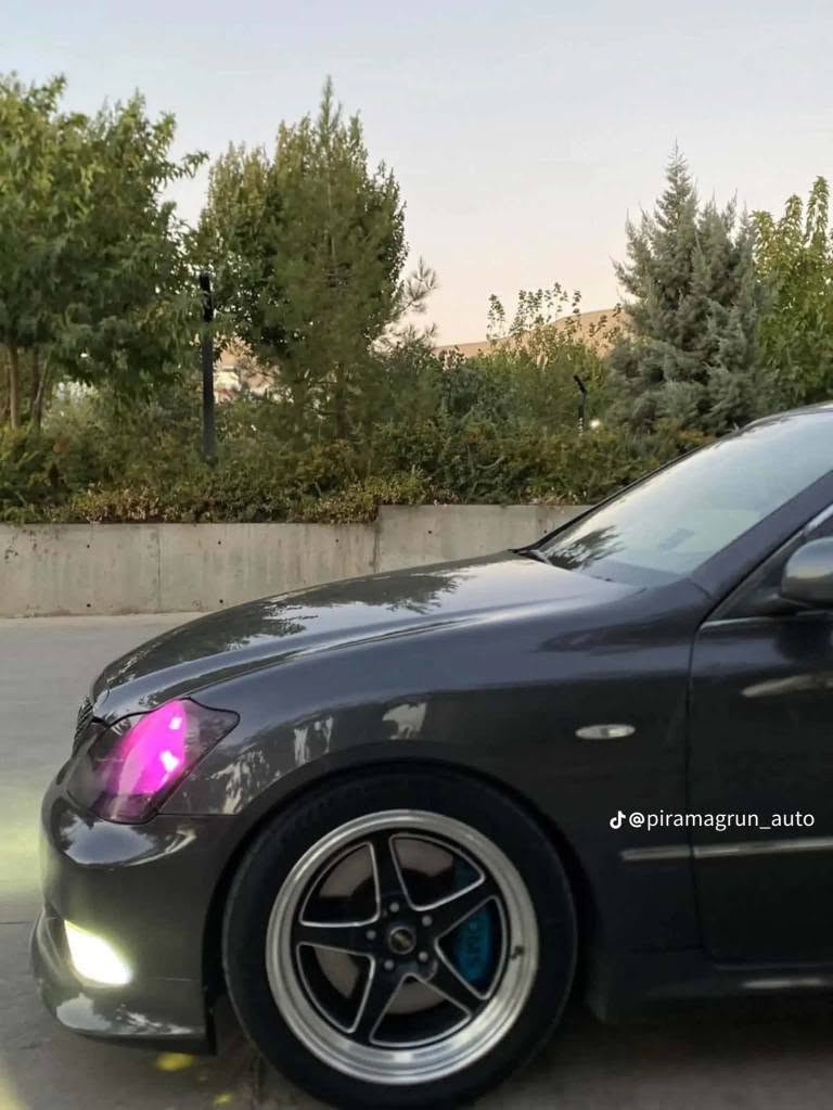 شاهين • ٢٠٠٦ • السليمانية