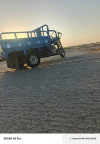 ستوته دايوان • ٢٠١٩ • اوراق كامله