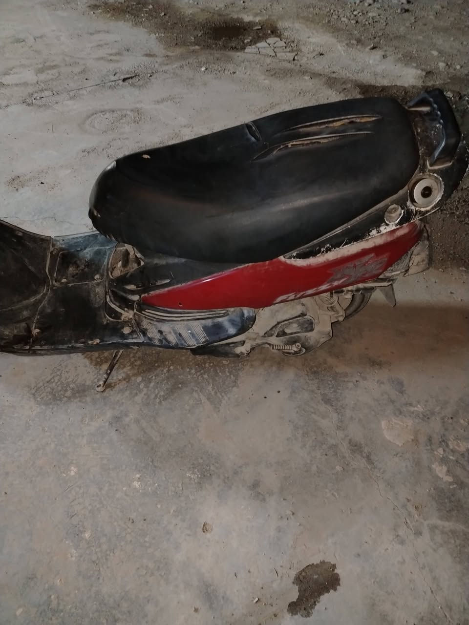 فراشة • جاهزة • بعقوبة