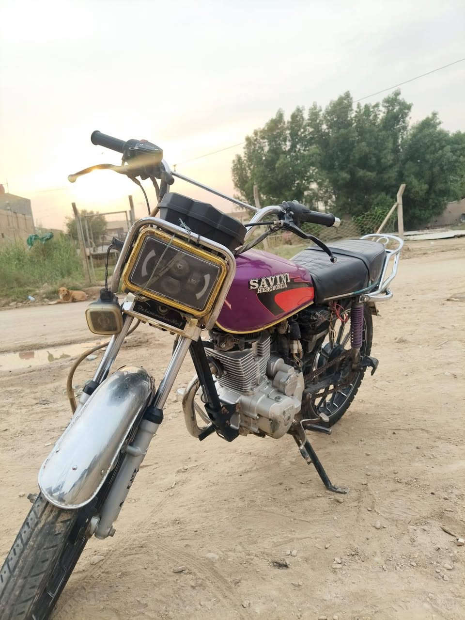سفانه • ٢٠٢٤ • مامفتوحه