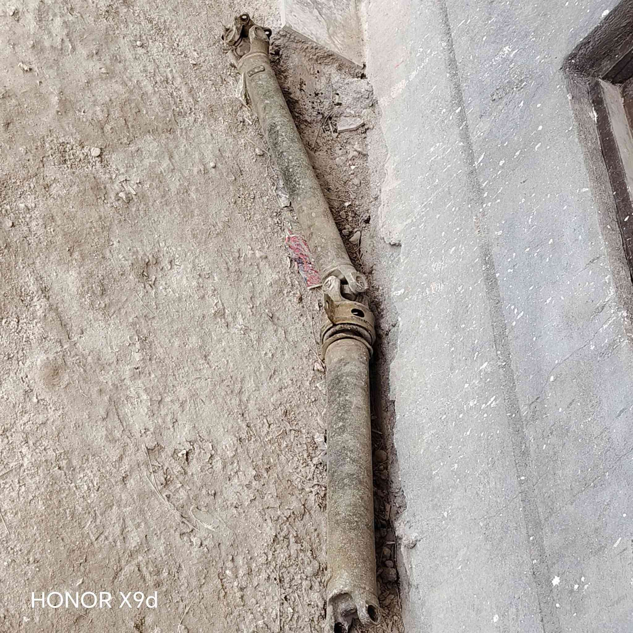 كاردن • جنبي • اجوان ناصي