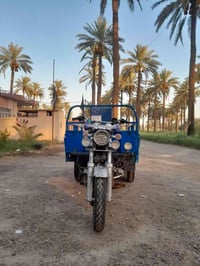 ستوته • مرقمه • ٢٠١٣