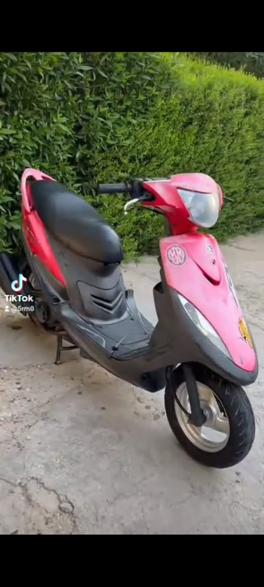 ماكس • مجال • تيك توك
