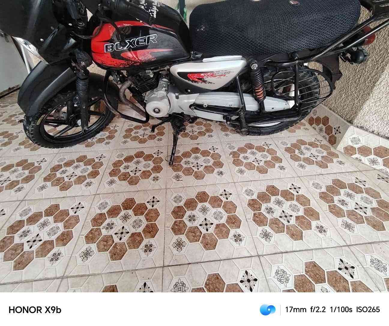 بوكسر • ٢٠٢٣ • هبهب