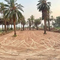 بستان ٣٥٠٠م • واجهة شط الغراف • موقع استثماري
