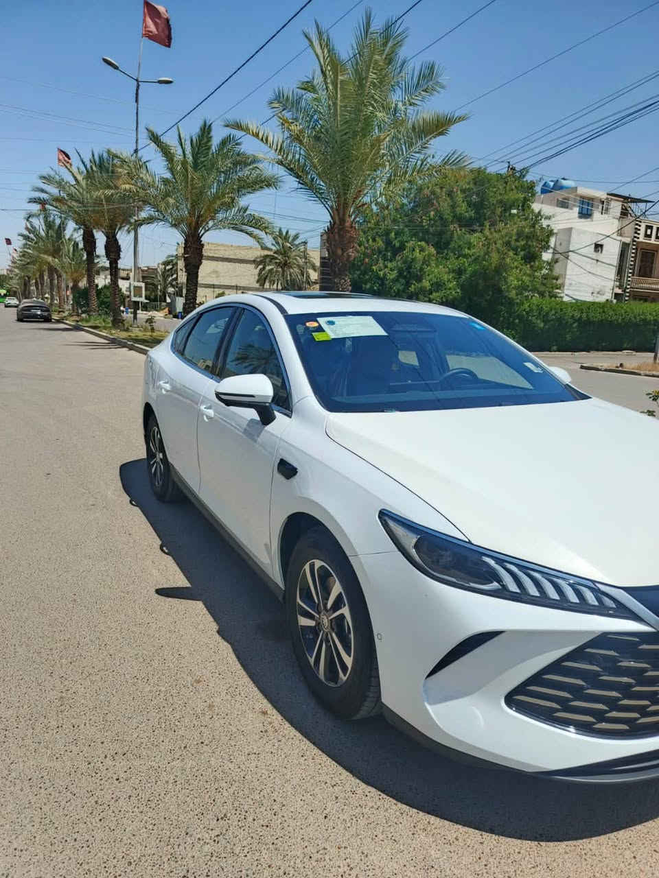 كن بلاس فووول • ٢٠٢٥ • رقم بغداد