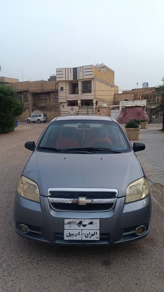 افيو ٢٠٠٩ • رقم اربيل • مكفولة من الصبغ
